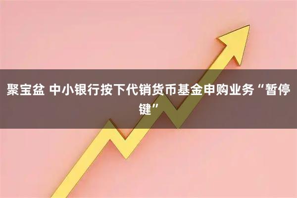 聚宝盆 中小银行按下代销货币基金申购业务“暂停键”