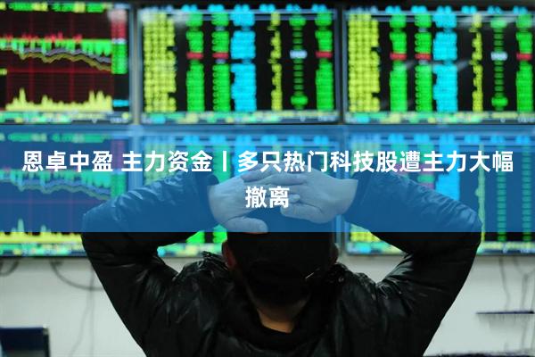 恩卓中盈 主力资金丨多只热门科技股遭主力大幅撤离